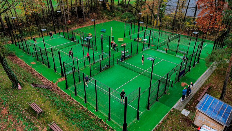 Padellen met de DELS